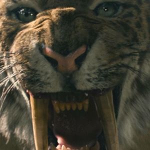 Meet your Posher, Vincent